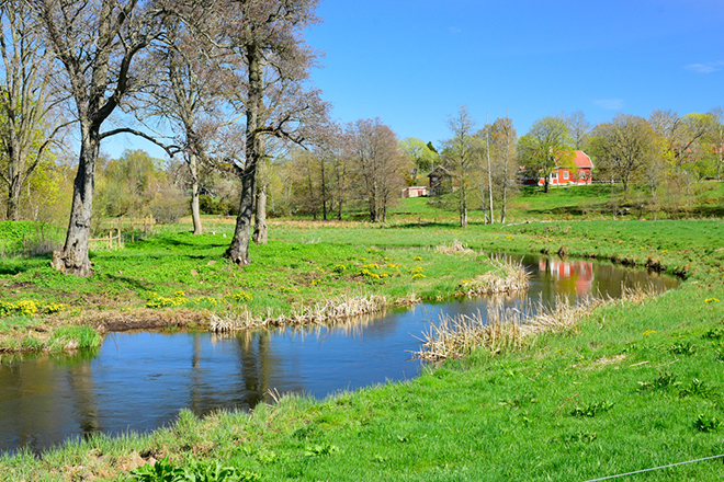 %_tempFileNamehornborga_vg_2504256785_skogedal%