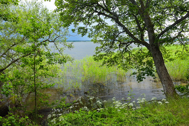 %_tempFileNamejulita_sodermanland_2406195878_skogedal%