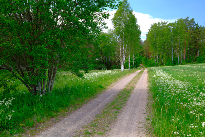 %_tempFileNamenaturreservatet_lunden_smaland_1205_skogedal%