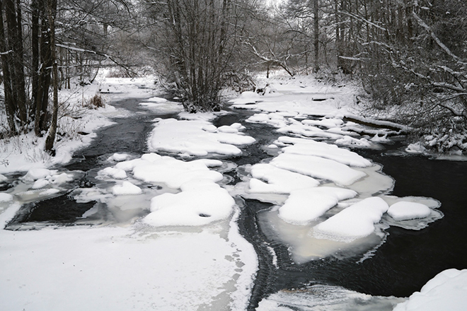 %_tempFileNameslafsan_vg_2601124674_skogedal%