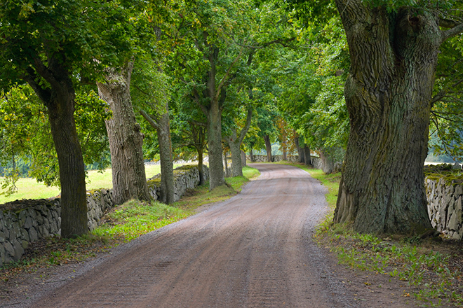%_tempFileNamestromsrum_smaland_2508287784_skogedal%