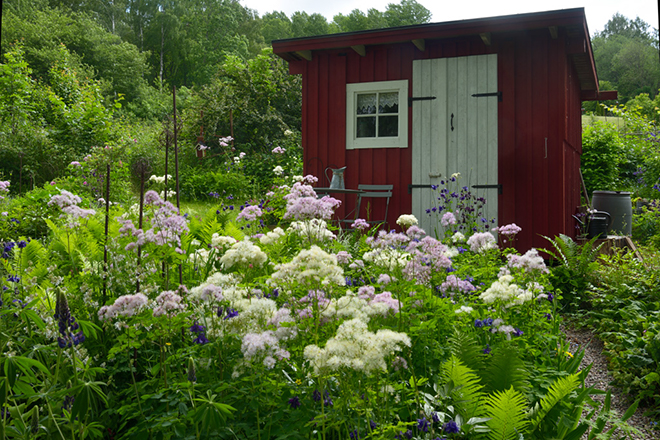 %_tempFileNameuthuset_2206125188_skogedal%
