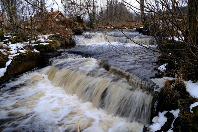 %_tempFileNamevarnhem_2601174769_skogedal%