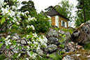 %_tempFileNamehammarby_linne_2305231735_skogedal%