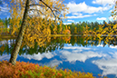 %_tempFileNamehokensas_Vg_2510158788_skogedal%