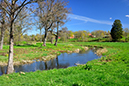 %_tempFileNamehornborga_vg_2504256773_skogedal%