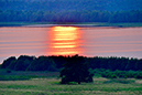 %_tempFileNamehornborgasjon_2408208402_skogedal%