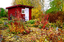 %_tempFileNamehost_uthus_2410162571_skogedal%