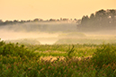 %_tempFileNamekvismaren_2508147667_skogedal%