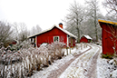 %_tempFileNamevarnhem_vg_2512254412_skogedal%