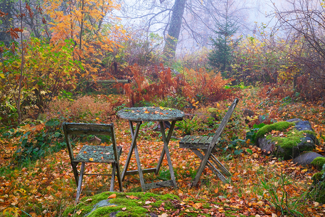 %_tempFileNametradgard_2410262559_skogedal%