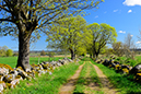 %_tempFileNamehanger_vg_2504256784_skogedal%
