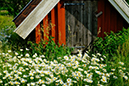 %_tempFileNamestensjo_by_smaland_2606248207_skogedal%