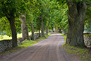 %_tempFileNamestromsrum_smaland_2508287784_skogedal%