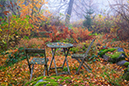 %_tempFileNametradgard_2410262559_skogedal%